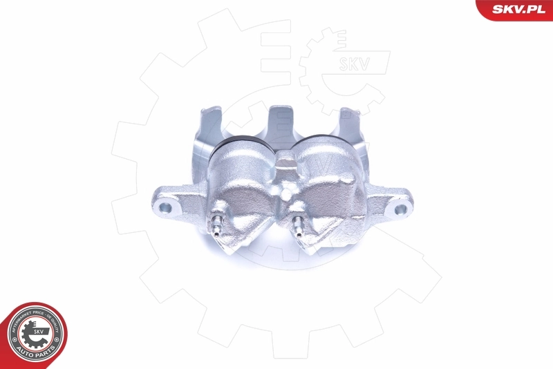 Brake Caliper 42SKV712