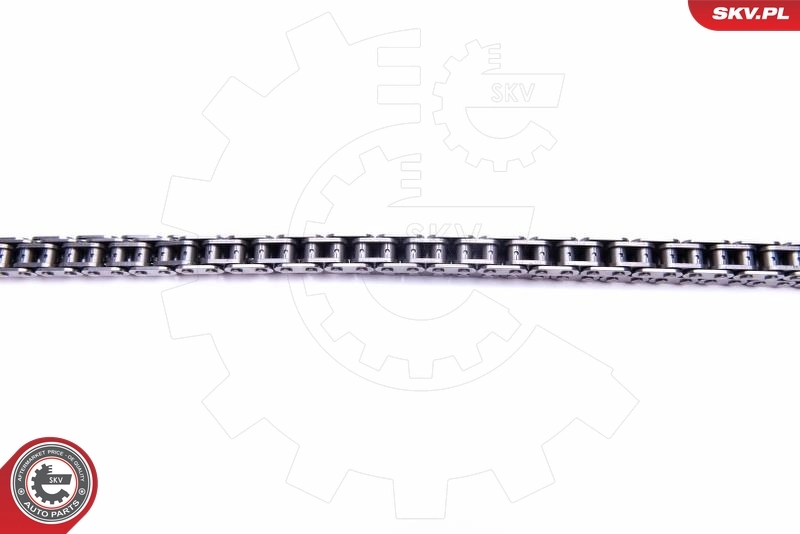 Timing Chain Kit 21SKV121