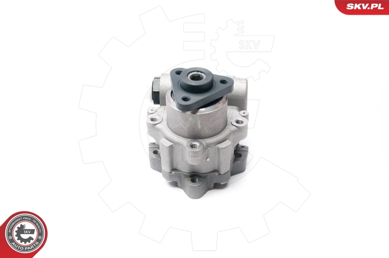 Hydraulic Pump, steering 10SKV233