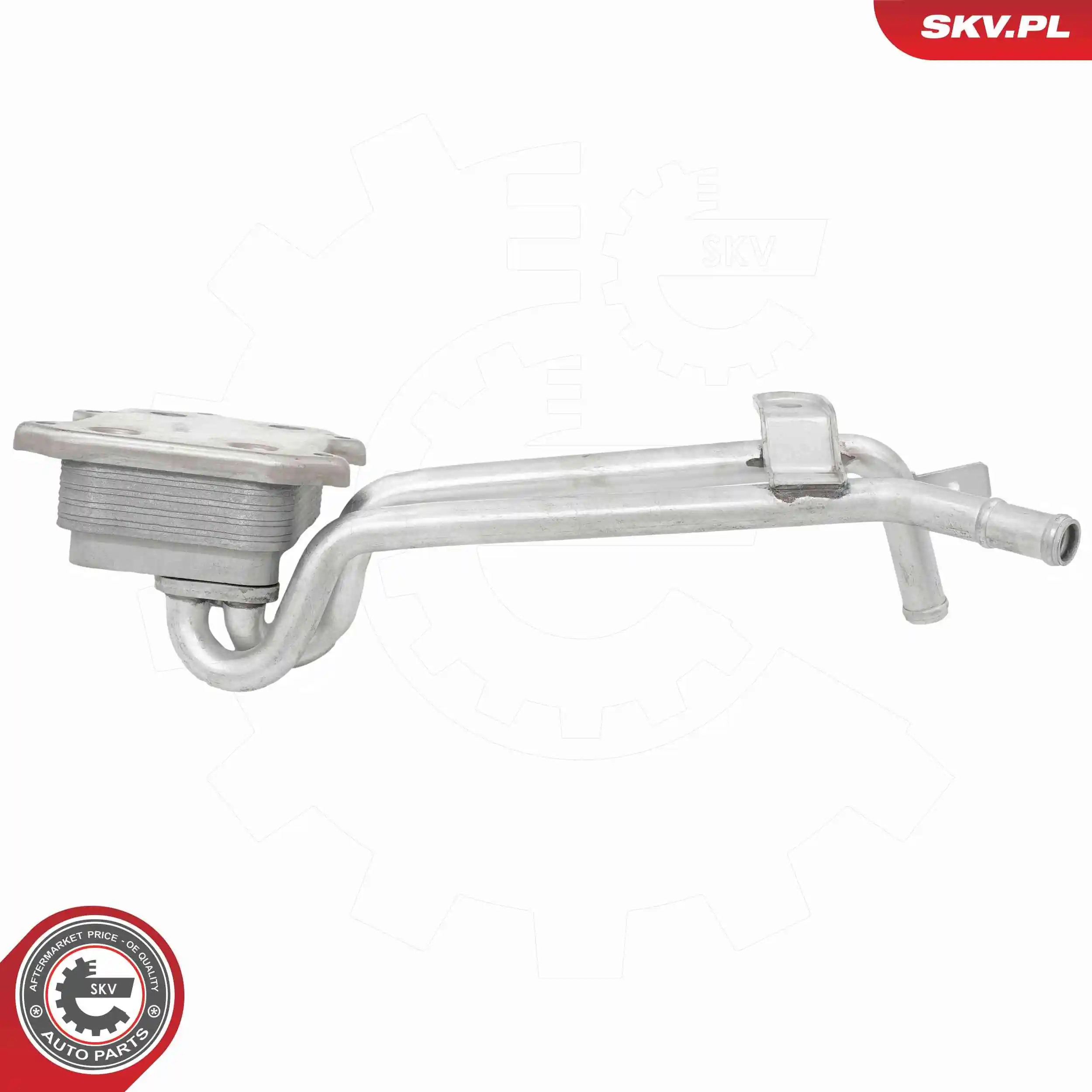 Oil Cooler, engine oil 31SKV288