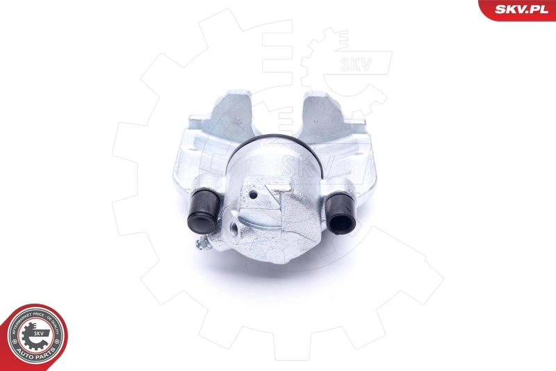 Brake Caliper 46SKV052