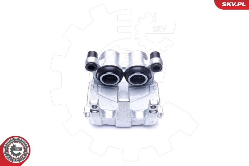 Brake Caliper 45SKV021