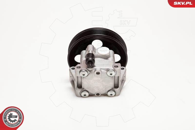 Hydraulic Pump, steering 10SKV050