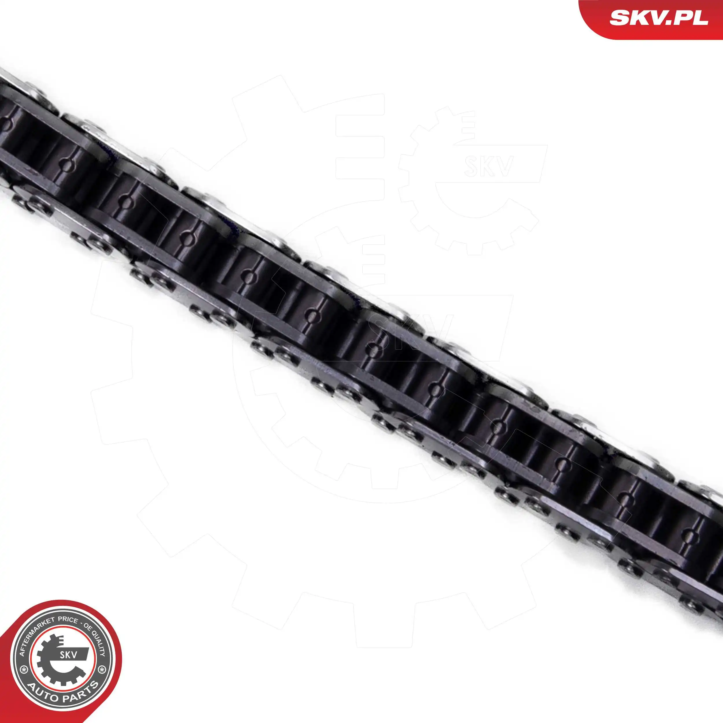 ESEN SKV 21SKV249 Timing Chain Kit