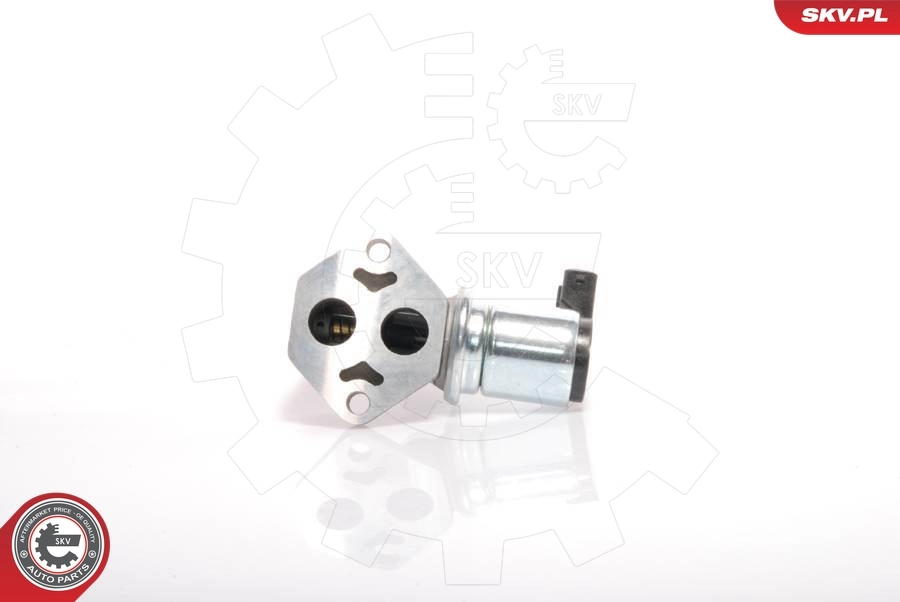Idle Control Valve, air supply 08SKV224