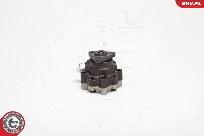 Hydraulic Pump, steering 10SKV095