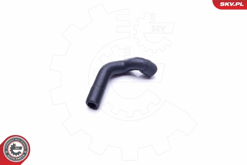 Hose, crankcase ventilation 31SKV128