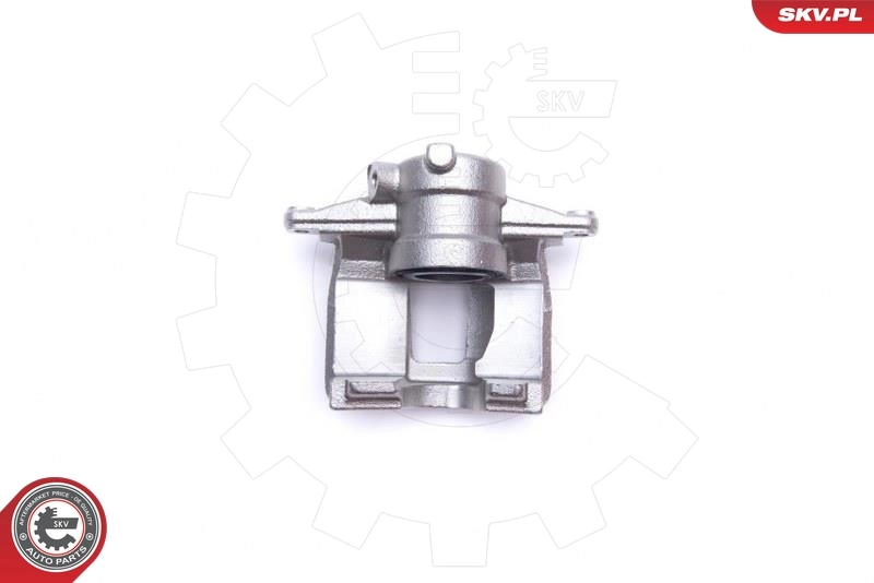 Brake Caliper 50SKV083