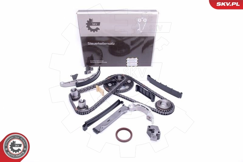 Timing Chain Kit 21SKV203