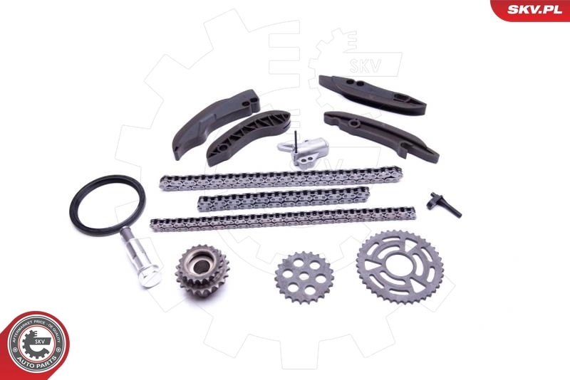 Timing Chain Kit 21SKV199