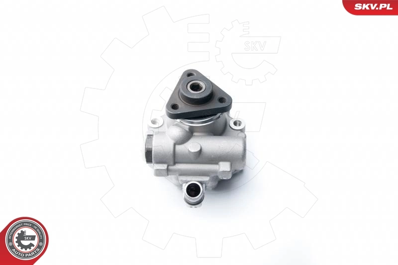 Hydraulic Pump, steering 10SKV122