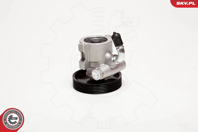Hydraulic Pump, steering 10SKV025