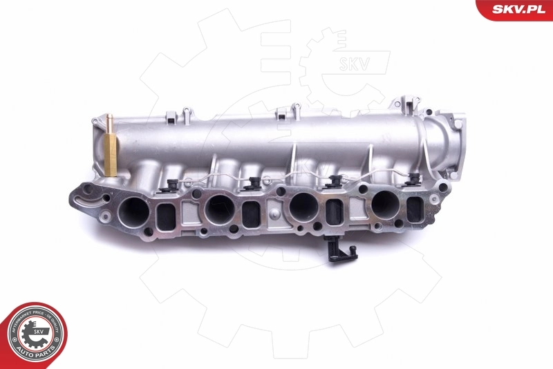 ESEN SKV 49SKV029 Intake Manifold Module