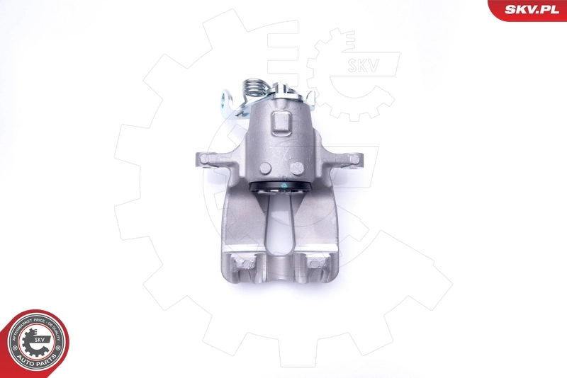 Brake Caliper 42SKV068