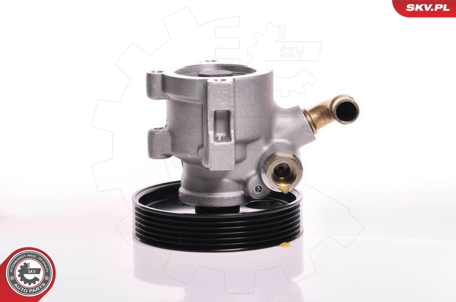 Hydraulic Pump, steering 10SKV013