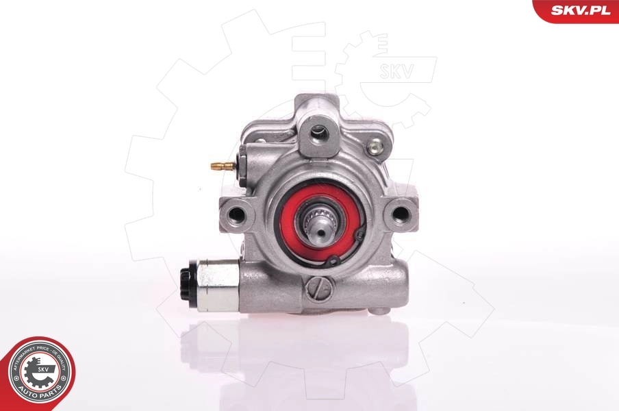 Hydraulic Pump, steering 10SKV132