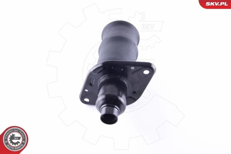 Air Spring, suspension 58SKV040