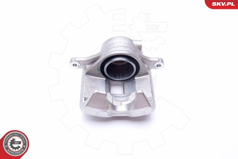 Brake Caliper 45SKV701