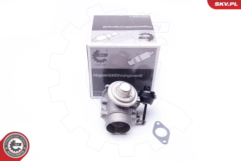 EGR Valve 14SKV106