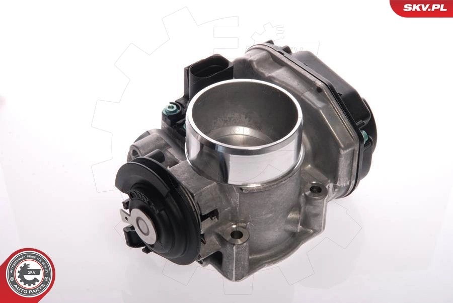 Throttle Body 12SKV013