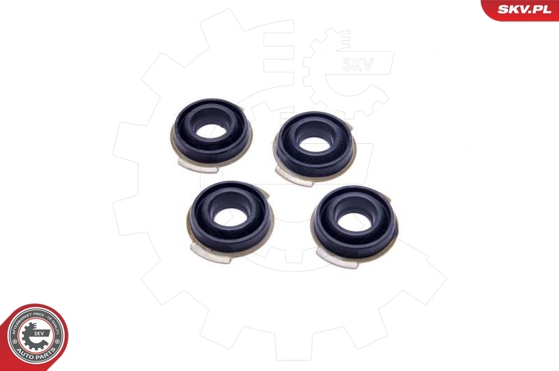 Repair Kit, intake manifold module 96SKV401