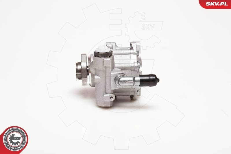 Hydraulic Pump, steering 10SKV110