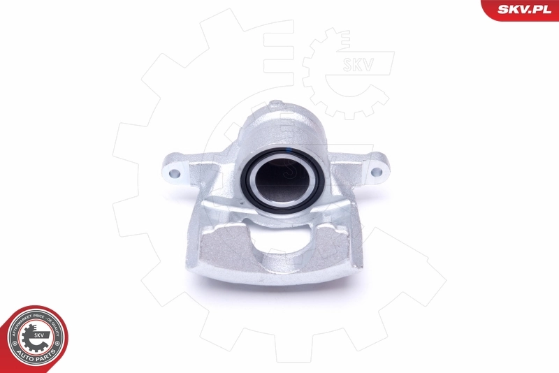 Brake Caliper 44SKV001