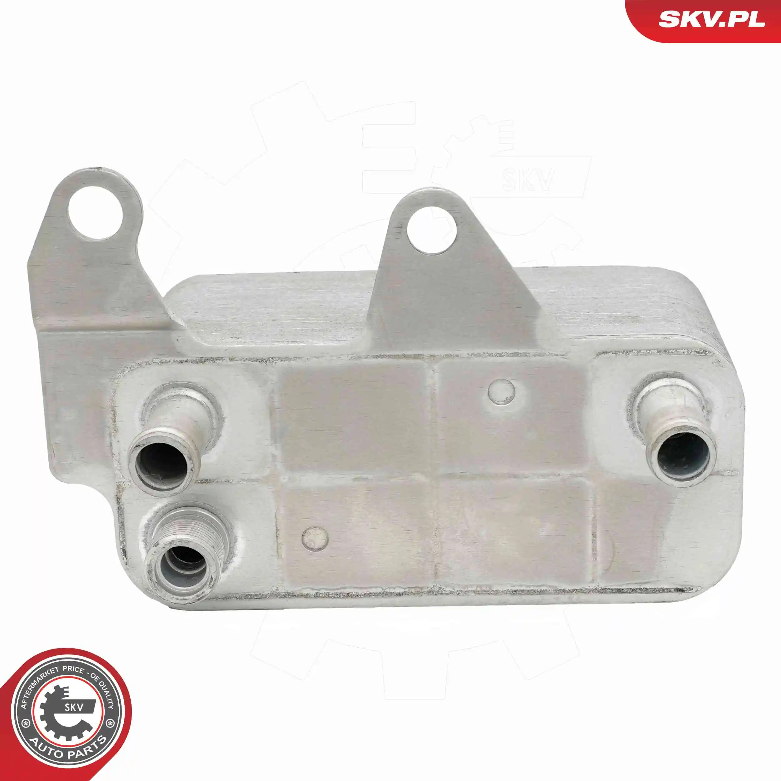 Oil Cooler, engine oil 31SKV363