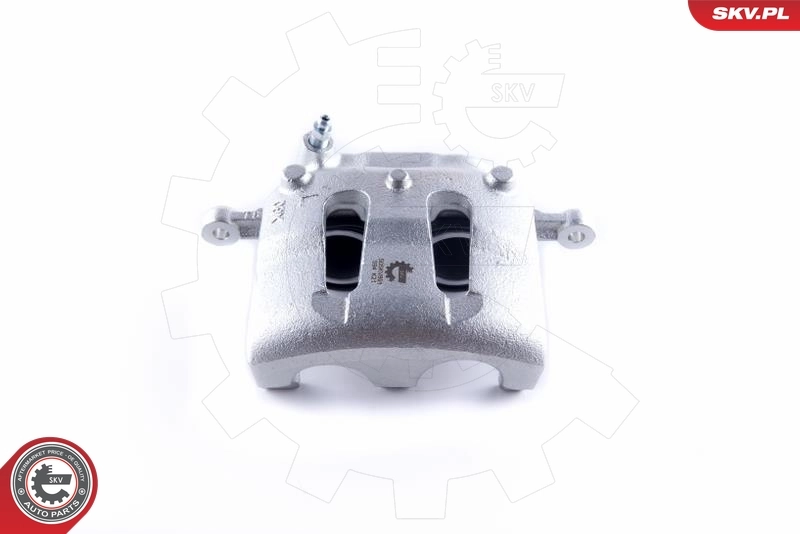 Brake Caliper 50SKV891