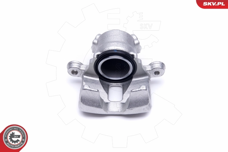 Brake Caliper 50SKV542