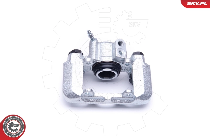 Brake Caliper 46SKV174
