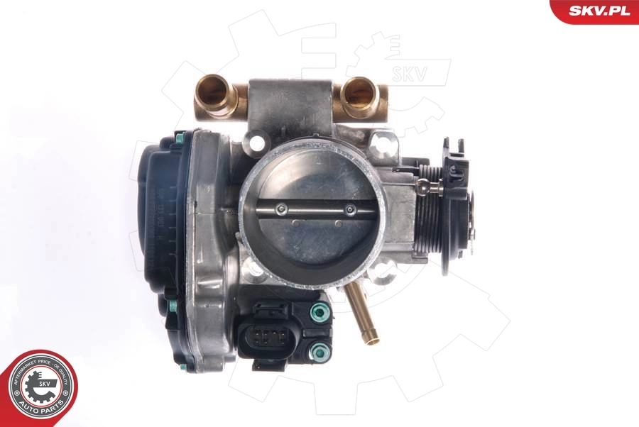 Throttle Body 12SKV018