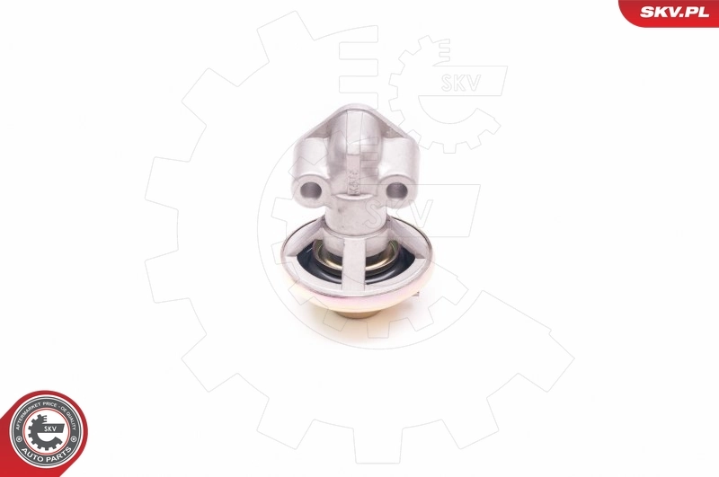 ESEN SKV 14SKV130 EGR Valve