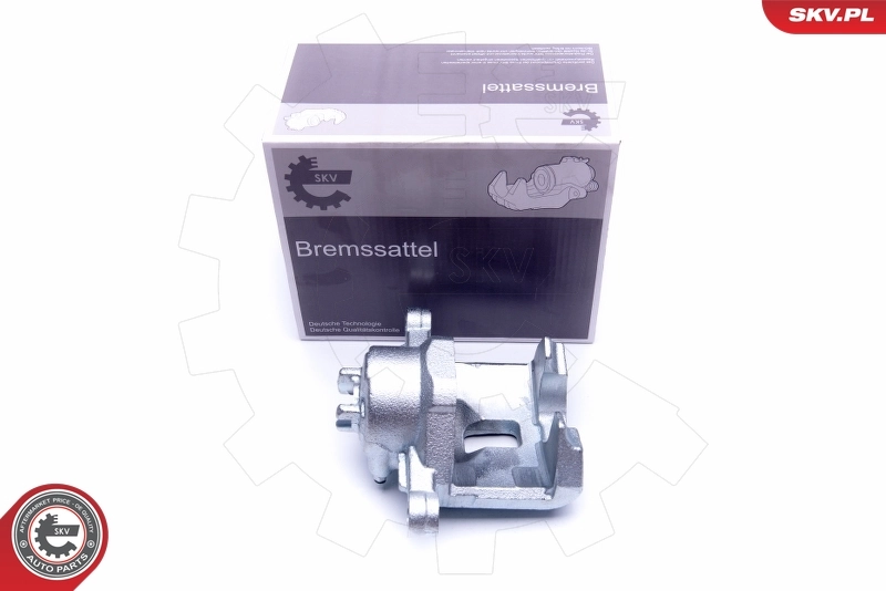 Brake Caliper 42SKV901