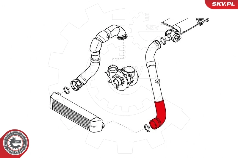 ESEN SKV 43SKV056 Charge Air Hose