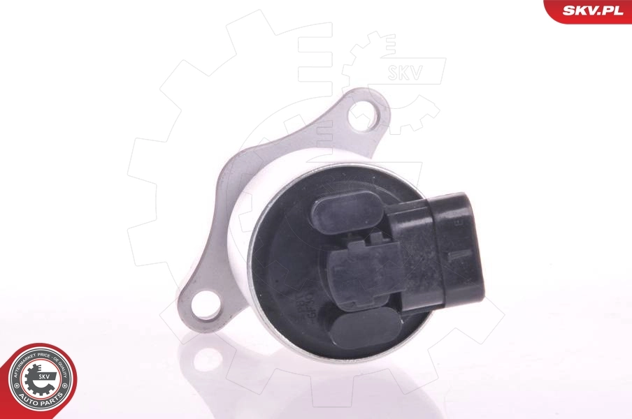 EGR Valve 14SKV004