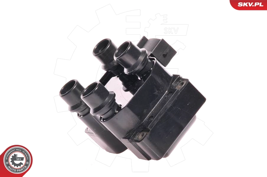 Ignition Coil 03SKV012