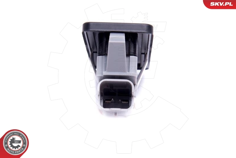 ESEN SKV 38SKV823 Switch, door lock