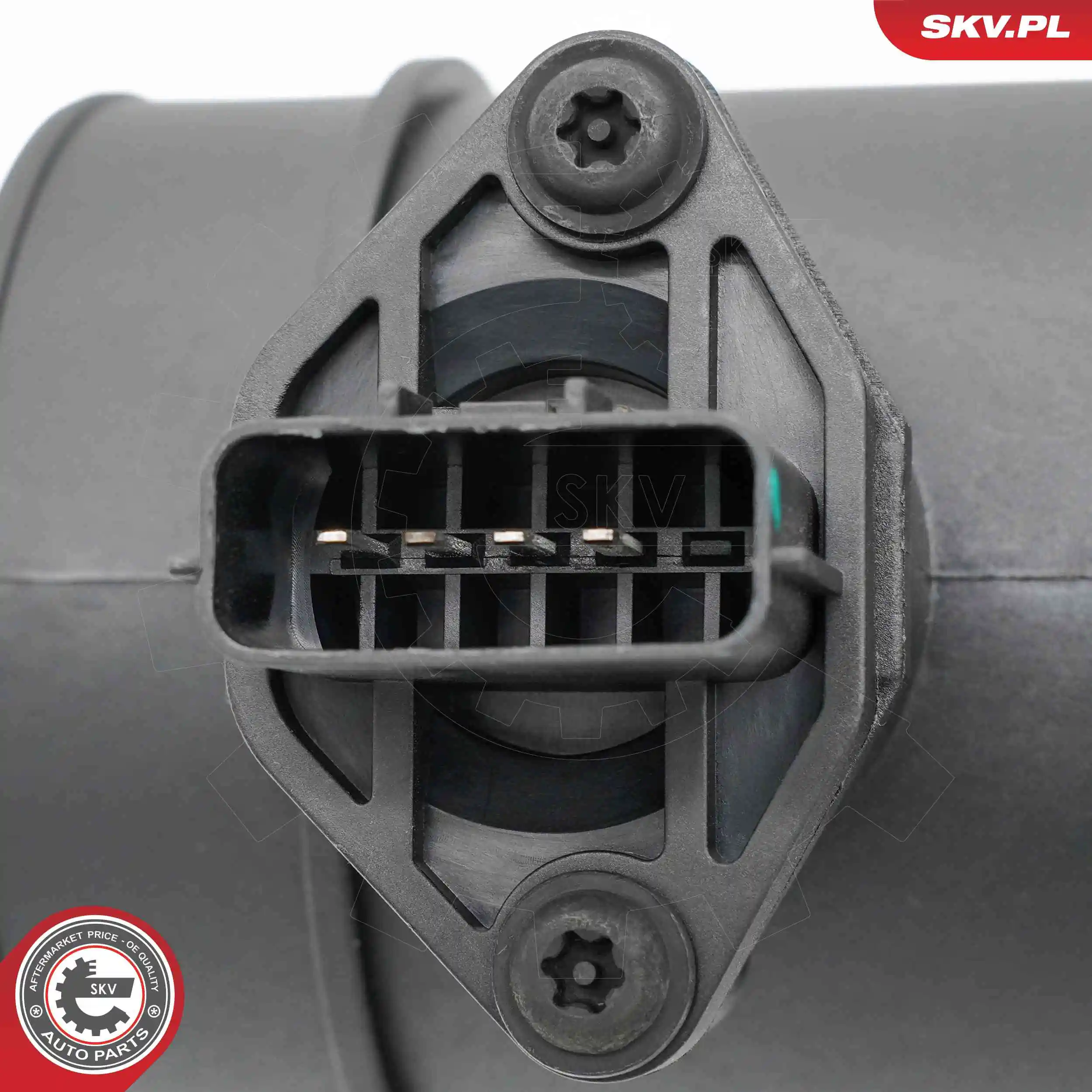 Mass Air Flow Sensor 07SKV275