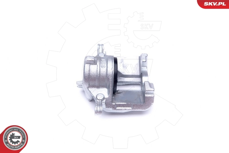Brake Caliper 42SKV801