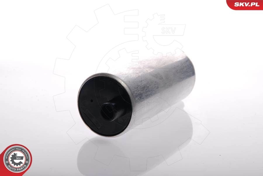 Fuel Pump 02SKV273
