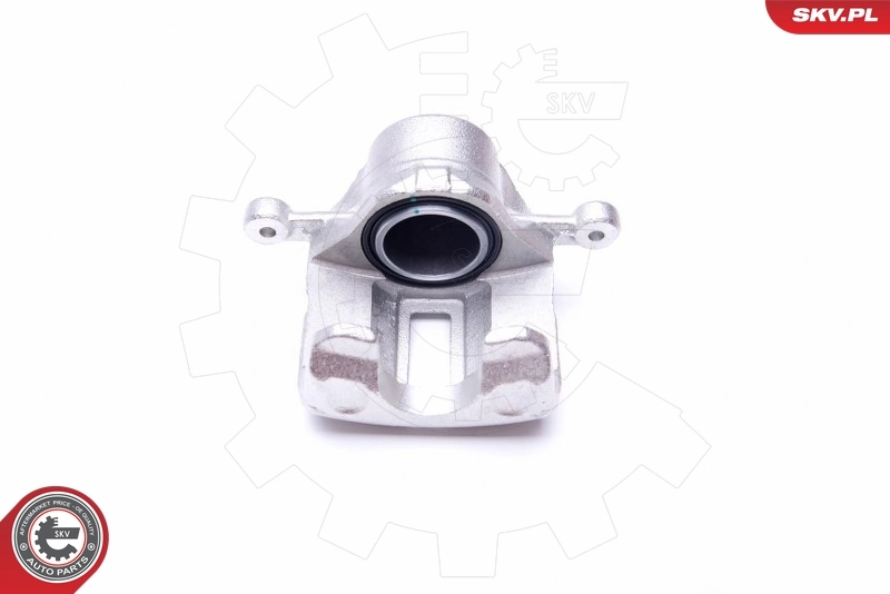 Brake Caliper 45SKV782