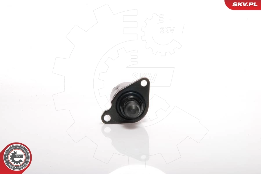 ESEN SKV 08SKV019 Idle Control Valve, air supply