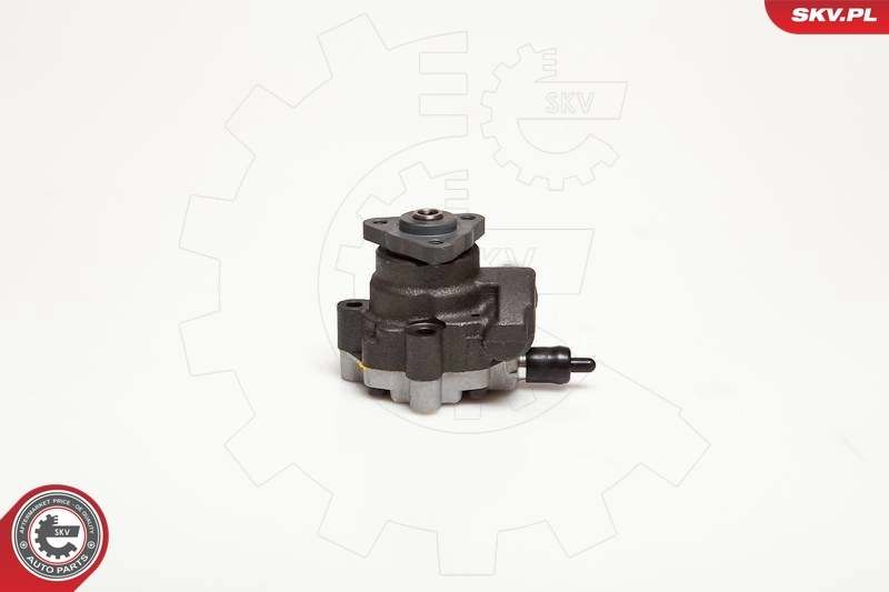Hydraulic Pump, steering 10SKV095