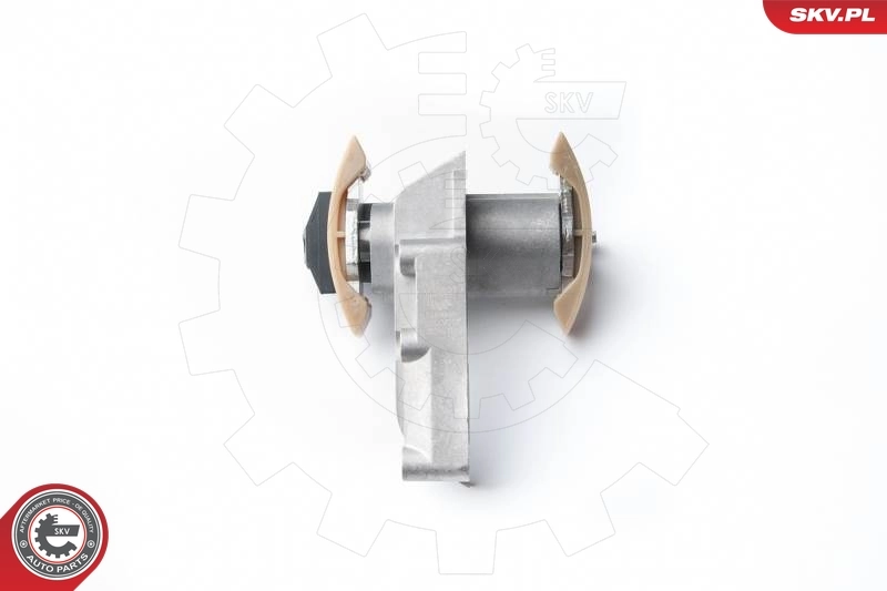 Timing Chain Kit 21SKV010