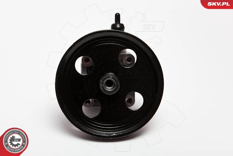 Hydraulic Pump, steering 10SKV074