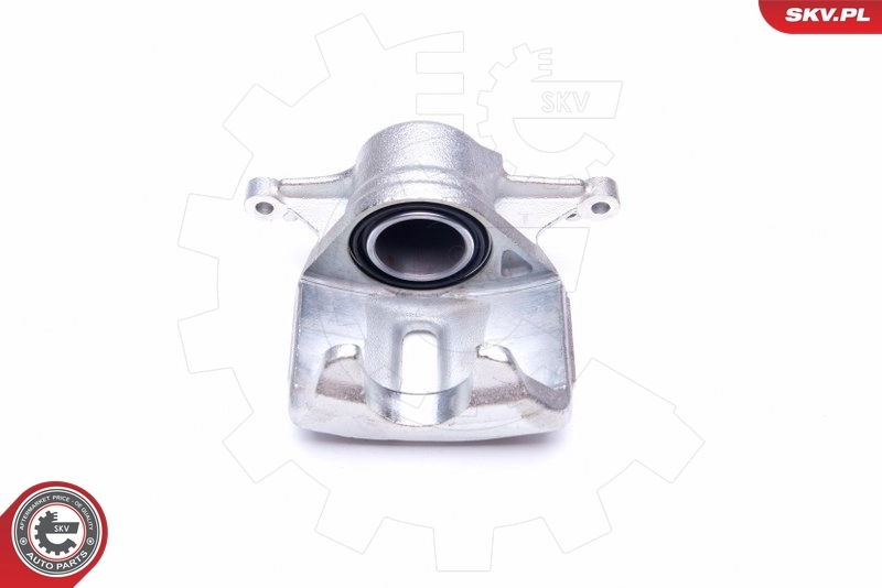 Brake Caliper 42SKV702
