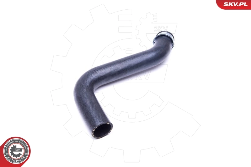 Radiator Hose 43SKV863