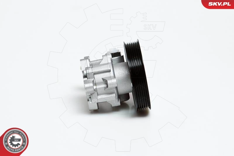 Hydraulic Pump, steering 10SKV022