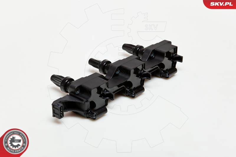 Ignition Coil 03SKV114